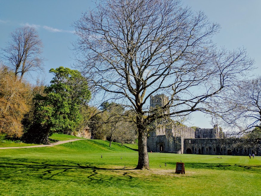 Just listen to that&nbsp;tree!