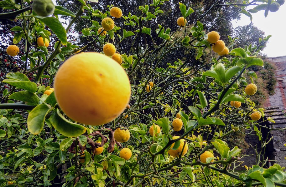 Nature’s Serving Suggestions