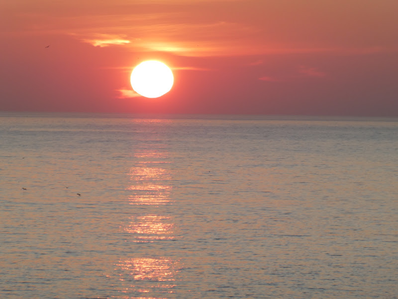 Here comes the&nbsp;sun