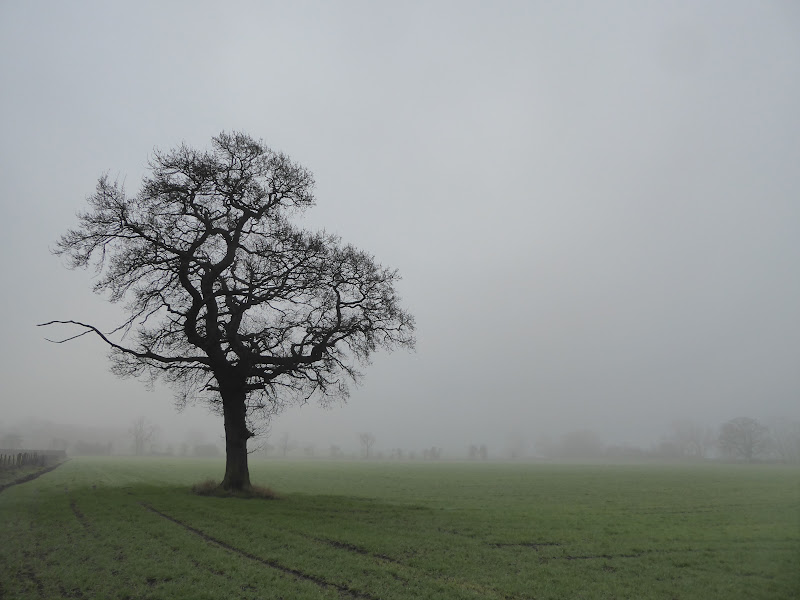 Five at Five – Margaret of From Pyrenees to&nbsp;Pennines