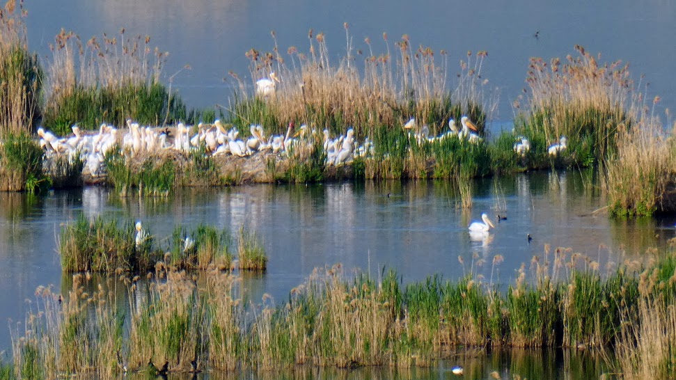 A Monday watery&nbsp;portrait