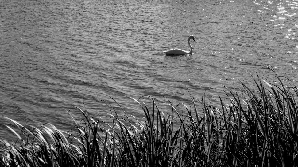 On the Seventh Day of Christmas&nbsp;…