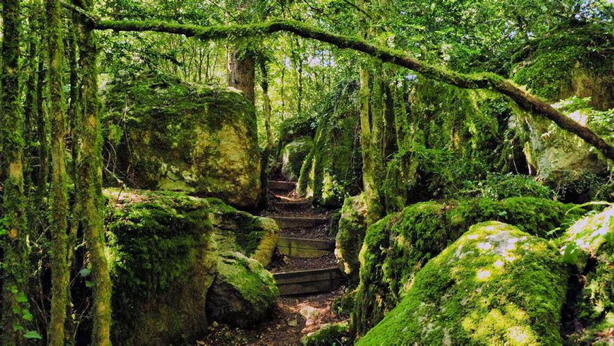 The Principality of the Brothers Grimm&nbsp;revisited