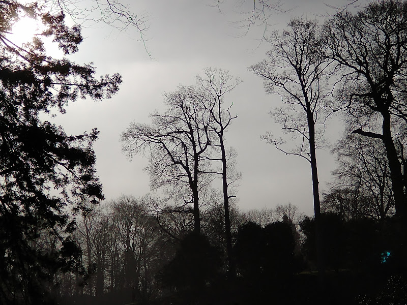 The Last Day in&nbsp;January