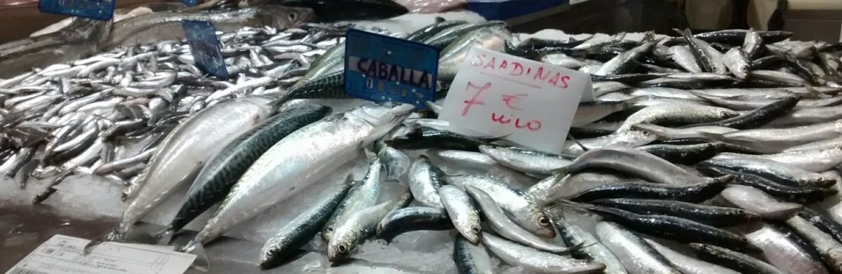 Still Life: a&nbsp;Gallimaufry