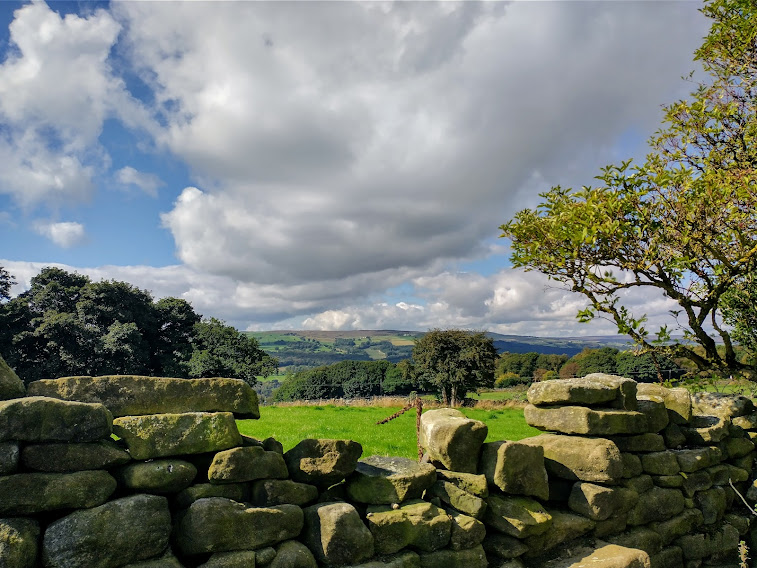 Dry stone walls: fragments of&nbsp;history