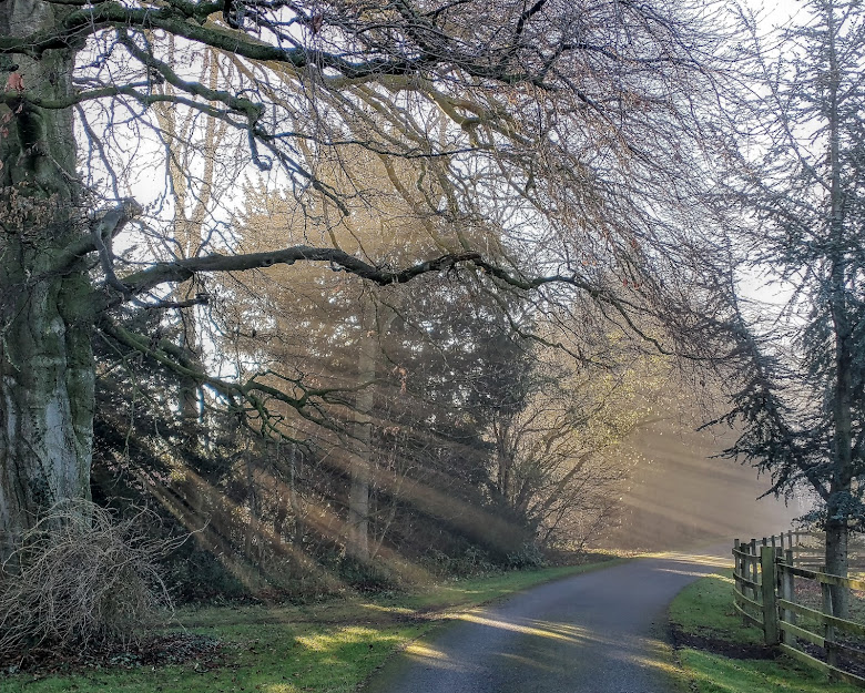 Today, I’m blowing my own&nbsp;trumpet