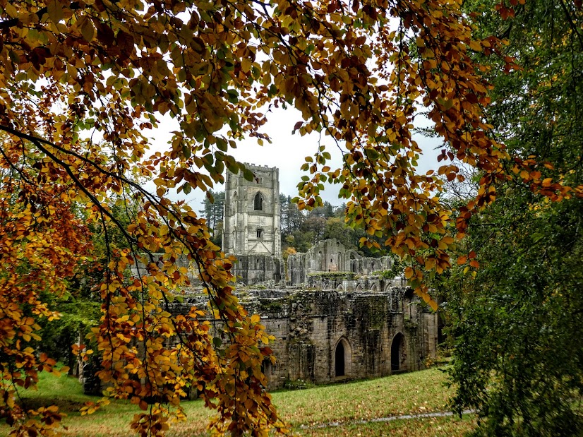 Some Favourite Photos