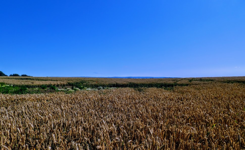 Britain on the&nbsp;Edge