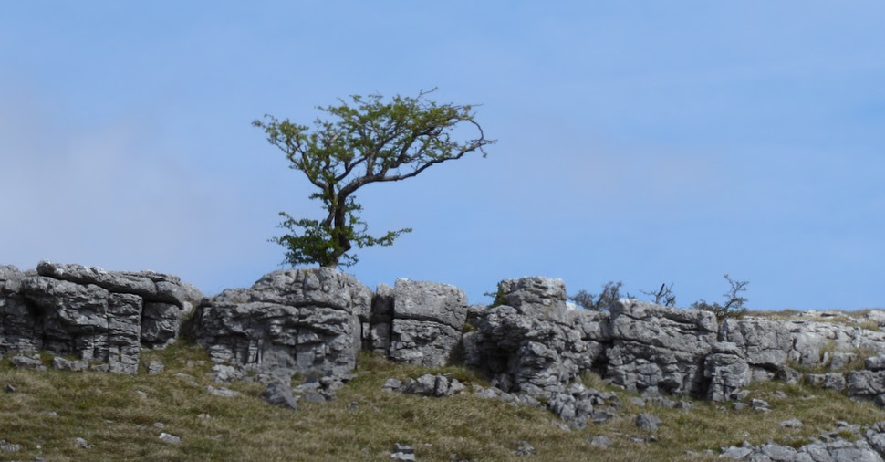 An Asymmetrical Amble