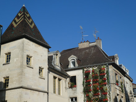 Windows of Dijon