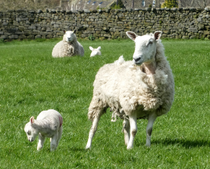 Monday Portraits from a Sunday&nbsp;Walk