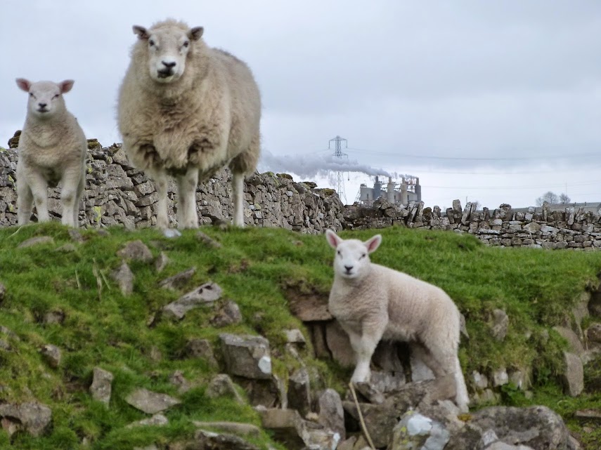 Monday Portraits … Because it’s That Time of&nbsp;Year