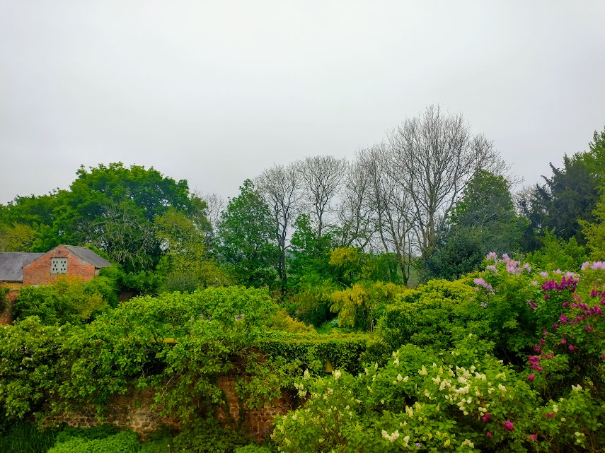 Look! Lilac and Laburnum Launch, 2024&nbsp;Season