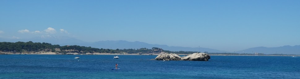 Renewing Family Ties