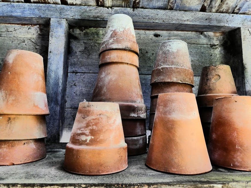 Coaxing Plants into&nbsp;Life