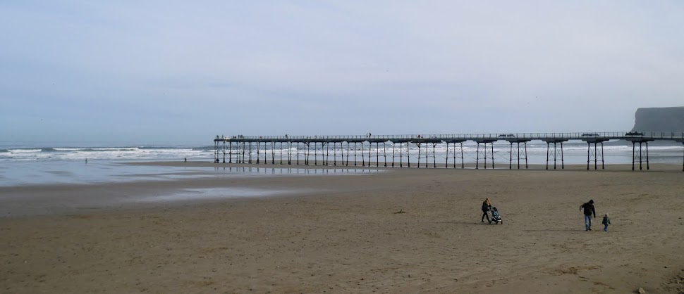 Renewal: a Walk on the&nbsp;Beach
