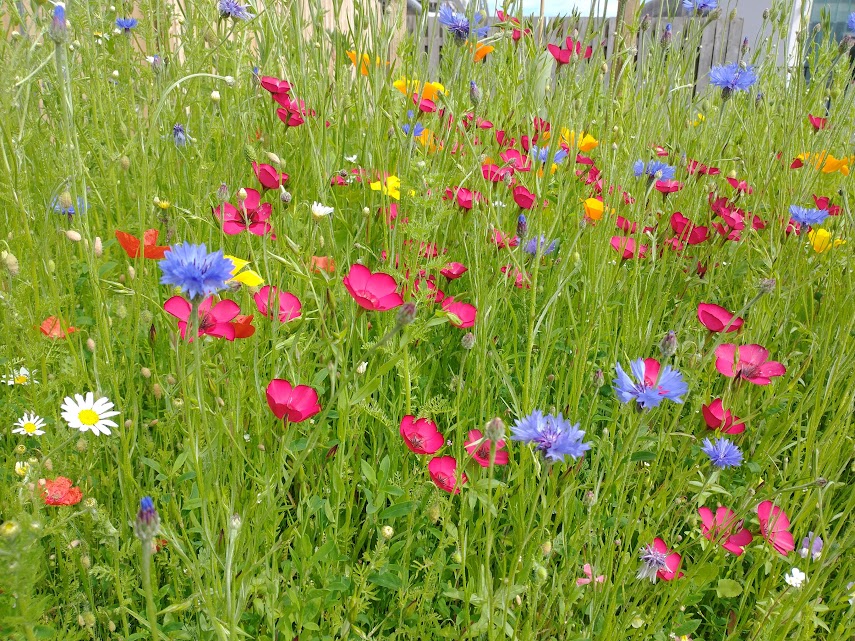 Look!  In the Hospital Car&nbsp;Park