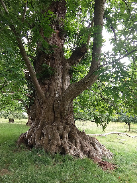 Last on the&nbsp;Card