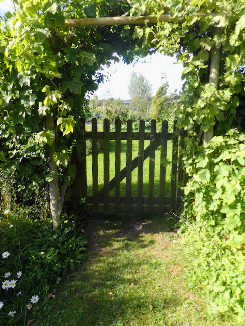 Postcards from the Vegetable&nbsp;Patch