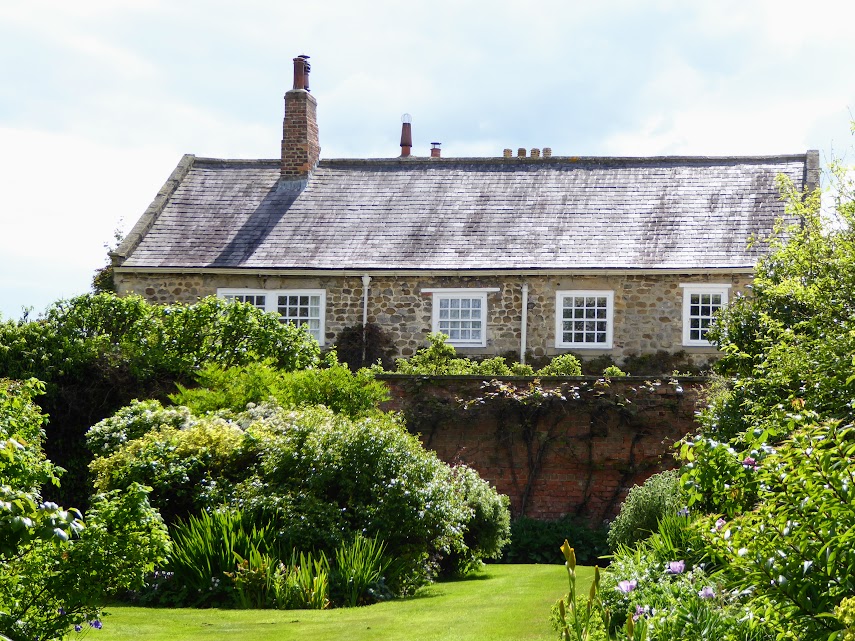 Our Little Neighbourhood