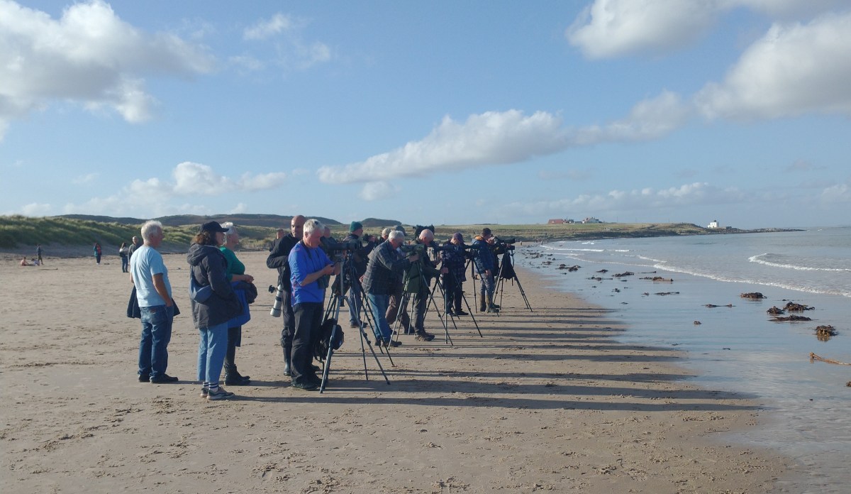 A Snapshot of&nbsp;Photographers