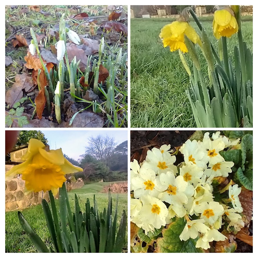 (Nearly) Silent Sunday