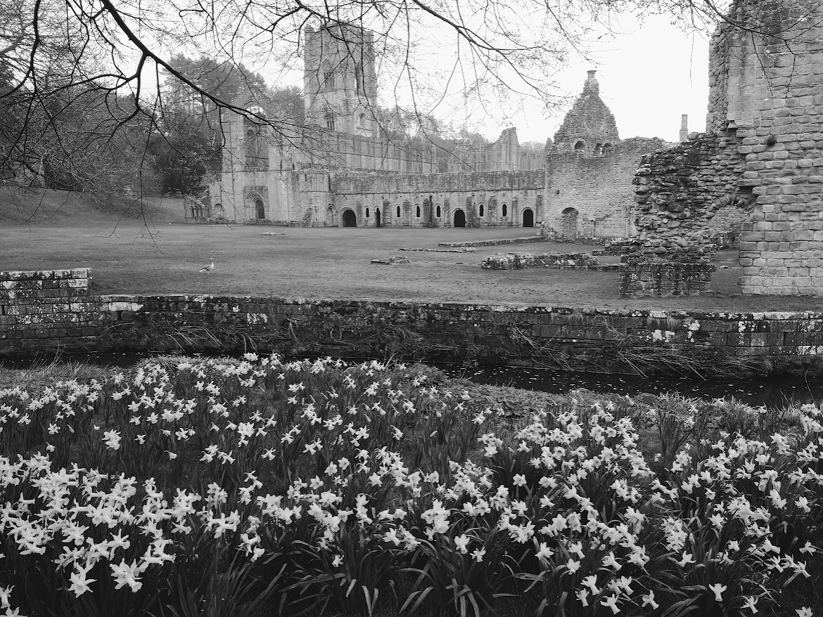 Spring in Glorious Technicolor – or Muted&nbsp;Monochrome