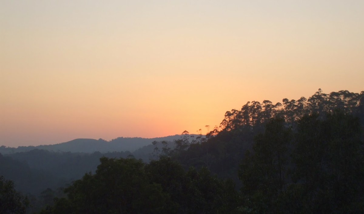 Indian Friday: The Wildlife&nbsp;Day