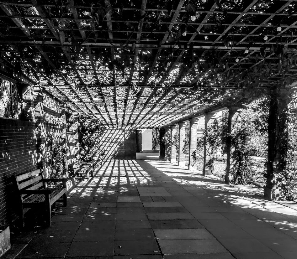 Back in the Valley&nbsp;Gardens