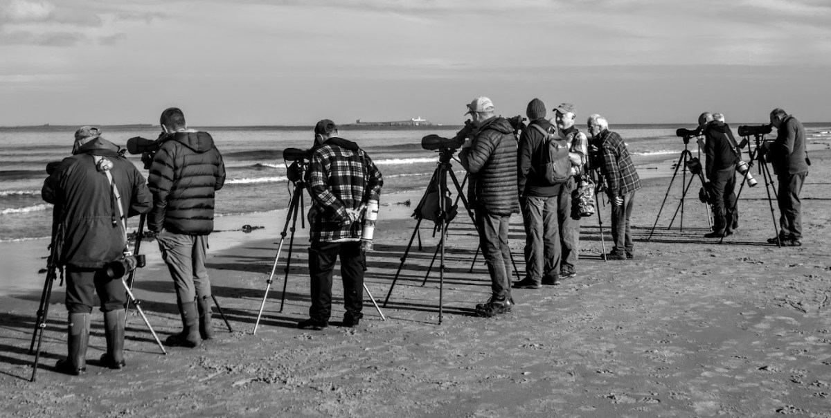 Photographing the Photographers