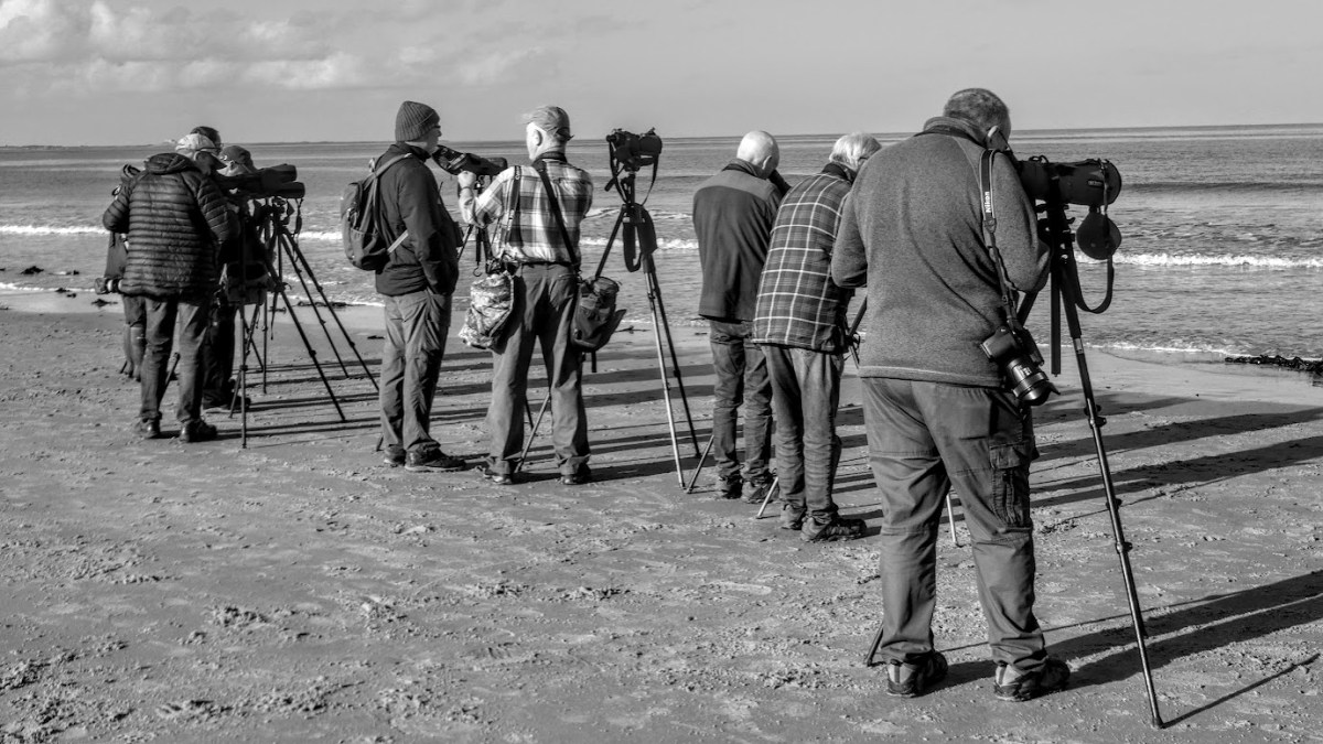 A Box Office&nbsp;Blockbuster?