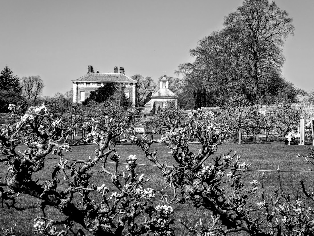 Burgeoning Blooms at&nbsp;Beningbrough
