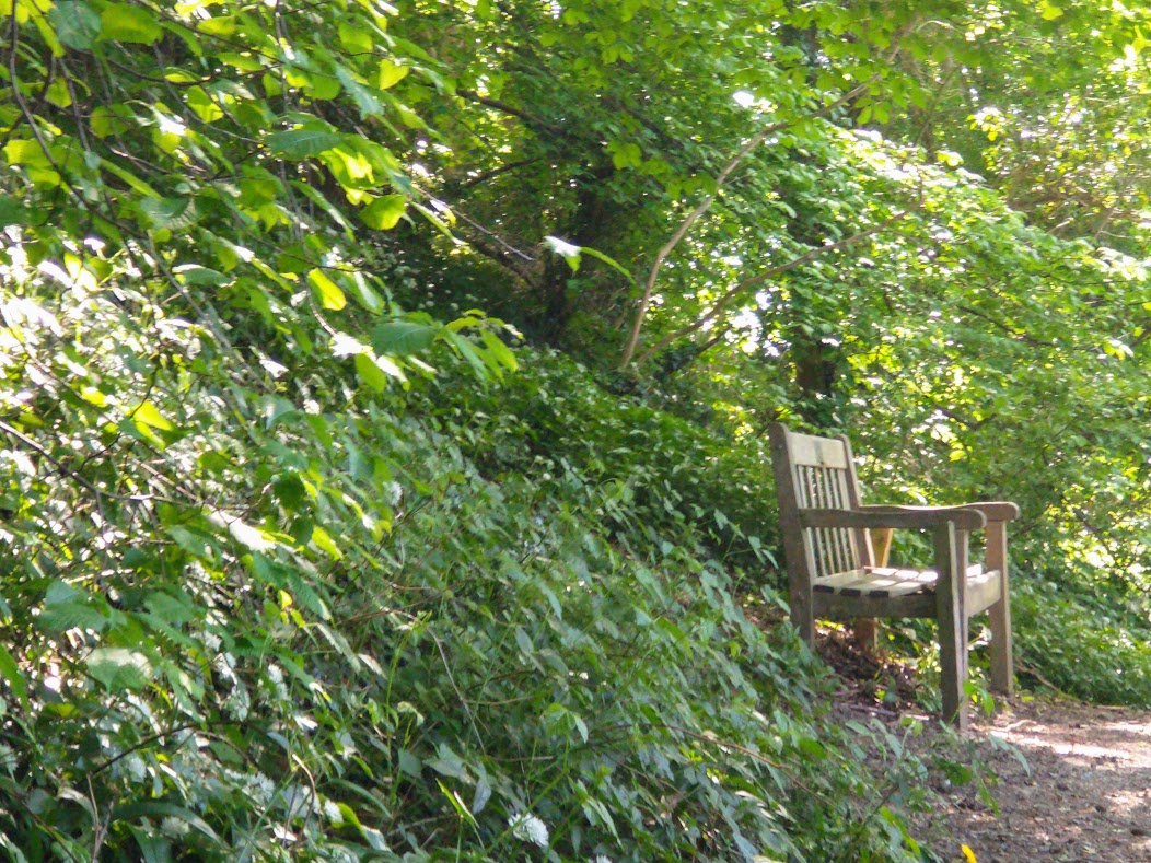 Two Benches: One at Home, One&nbsp;Abroad