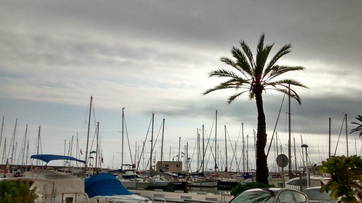 A Morning in El&nbsp;Masnou