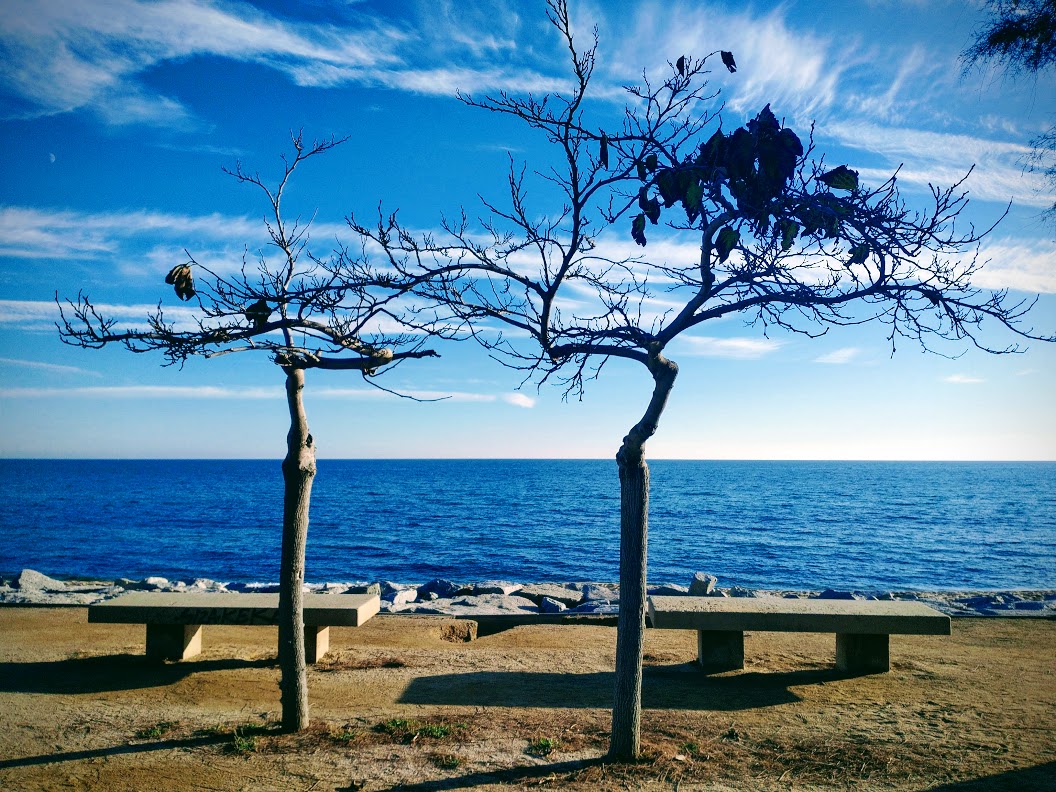 Benches near Beaches