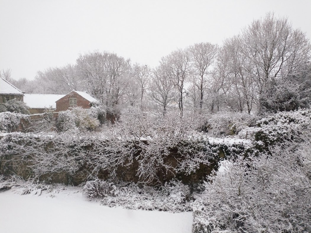 Accidental Monochrome