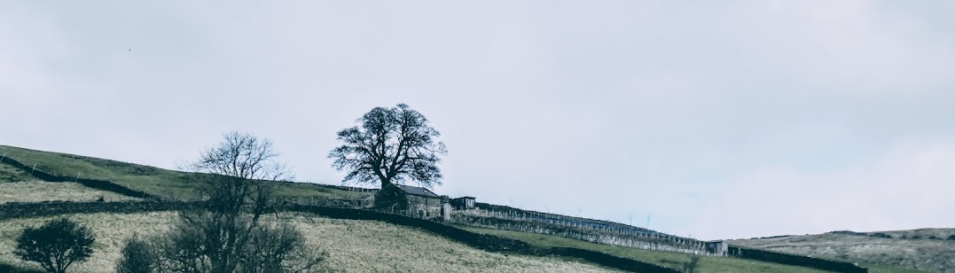 Any-Colour Monochrome: Black & White Need Not&nbsp;Apply