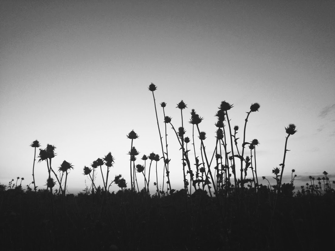 Backlighting for the&nbsp;Bold