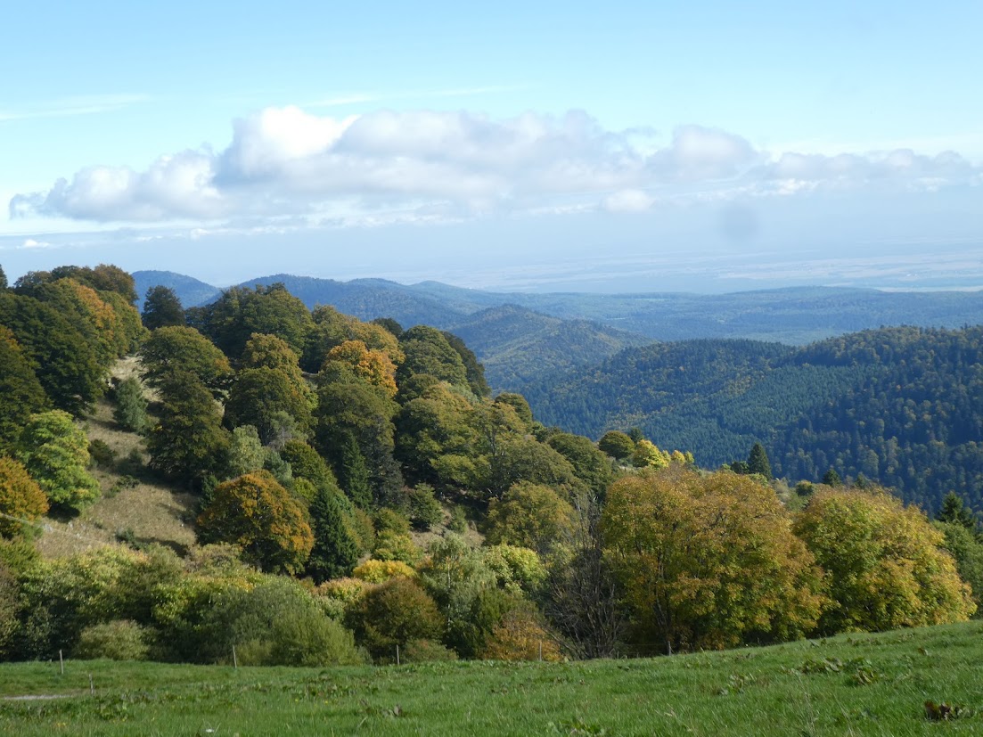 Walking in Mountain&nbsp;Scenery