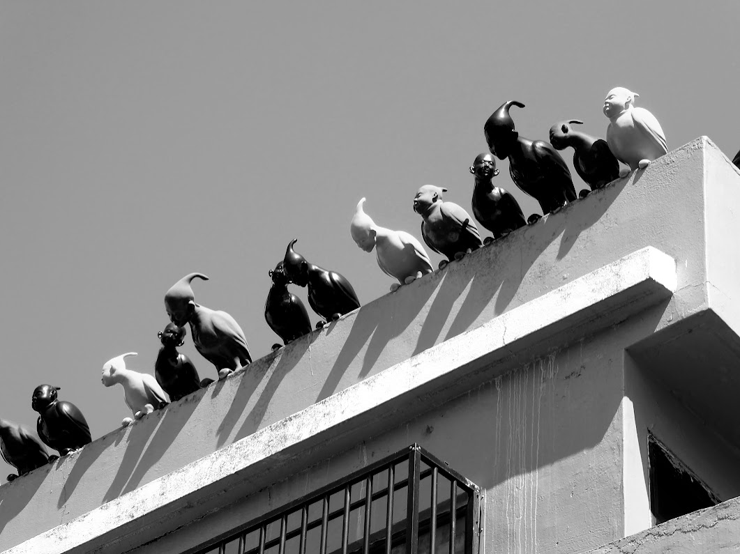 Oh Look! There’s  Bird on the&nbsp;Roof