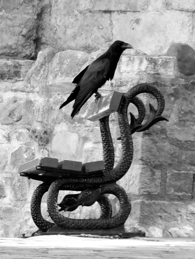 Posing as Passerines