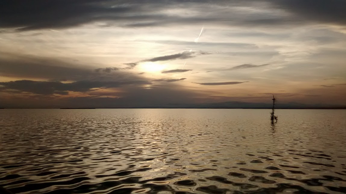 A Lake, the Sea, a&nbsp;River