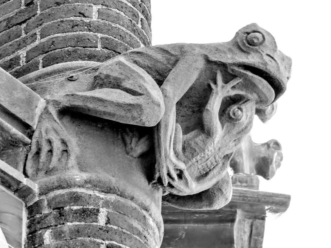 Eternal Animals